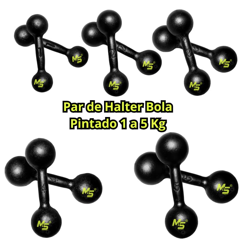 Par Halter Bola Pintado Premium - 1 a 5 Kg / Treino Musculação Peso de Academia C/ 2 Un
