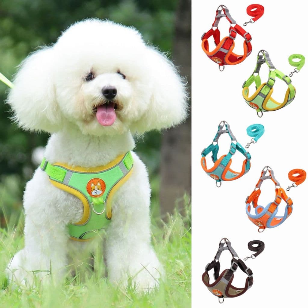 Coleira de Cachorro e Gato peitoral , Conjunto De Guia + Coleira Tipo Colete Para Pet Pequenos e Médios