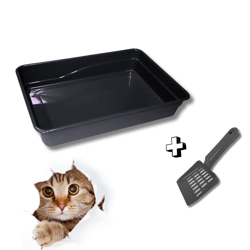 Caixa de Areia + Pazinha Higiênica para Gato Bandeja Sanitária Pet Gatinho