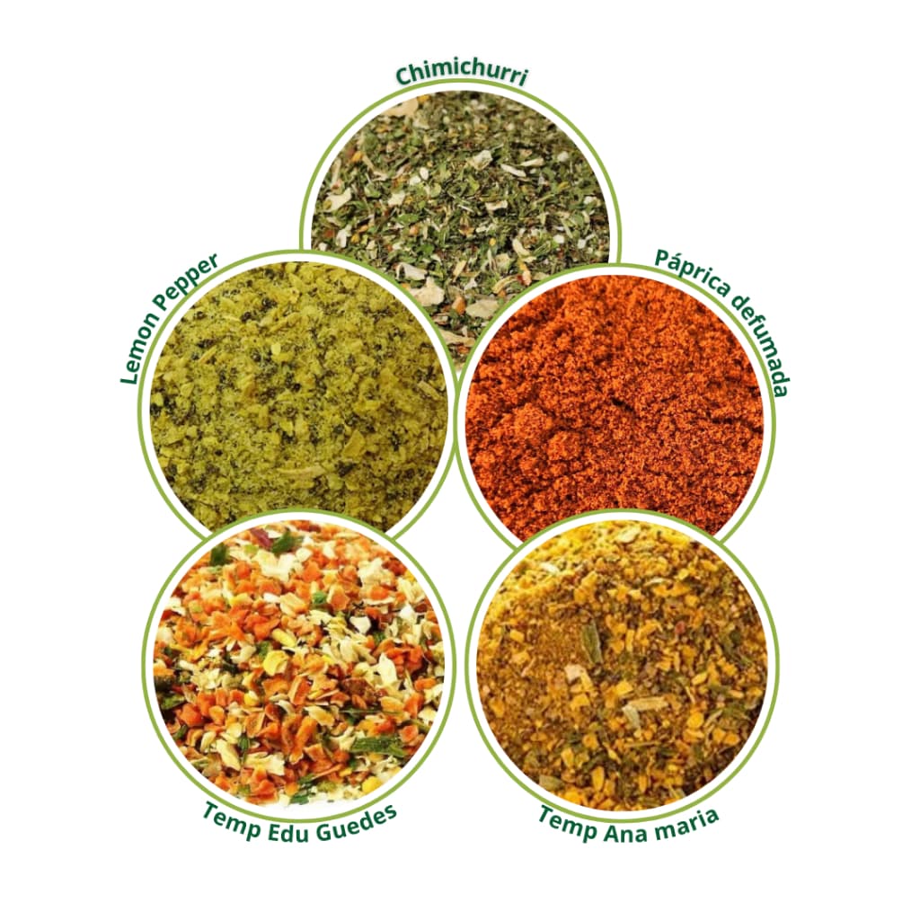 Temperos Naturais Kit Mix 5 Temperos 500g