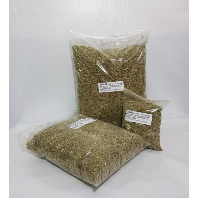 Alecrim - 1kg temperos e condimentos
