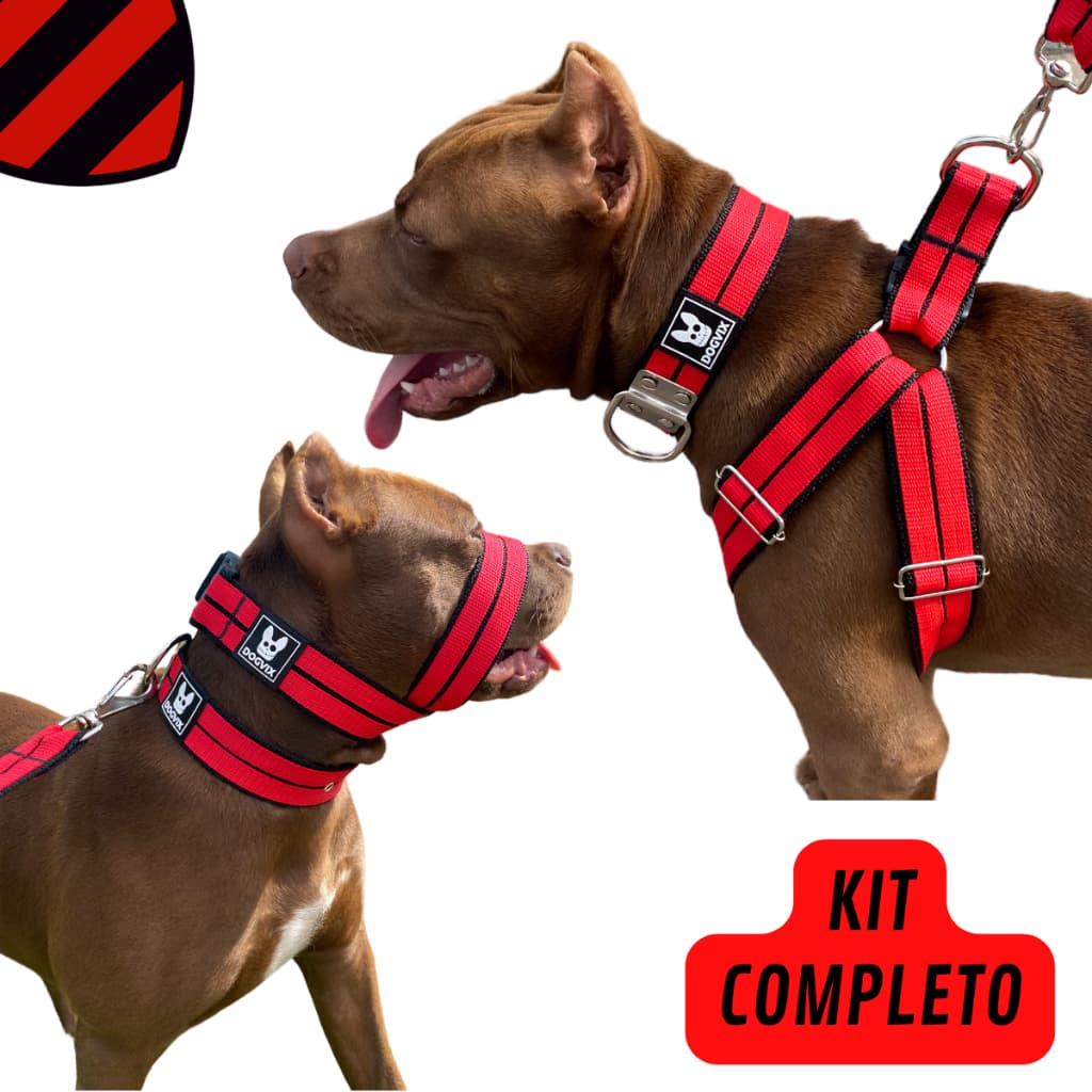 Super Kit Guia Coleira Peitoral Focinheira Para Cachorro Pet Adulto Pitbull Ajustável