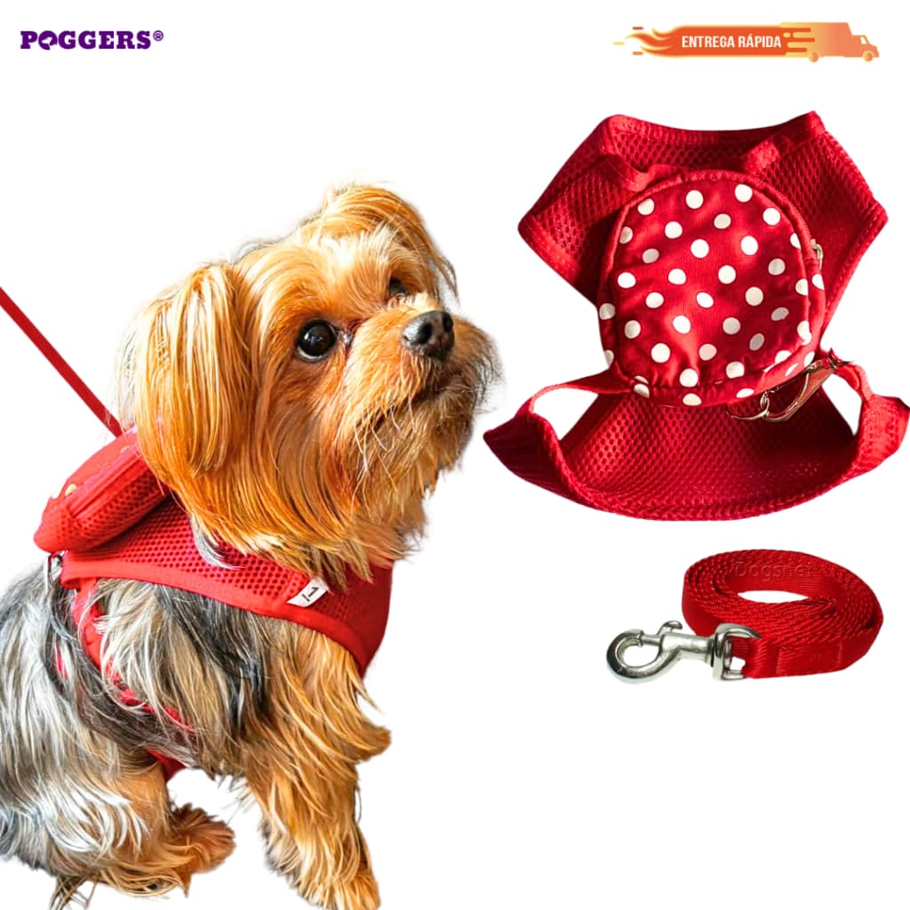 Peitoral Mochila para Cachorro Coleira com Guia para Passeio Guia Inclusa Estampas Variadas