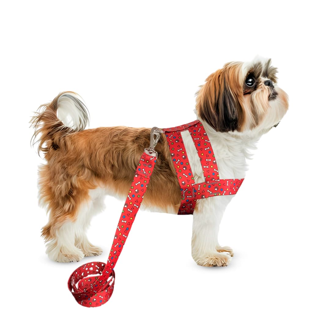 Conjunto Peitoral Com Guia De Seda Para Cachorro Cão Porte Pequeno - Conforto E Estilo Para Seu Pet