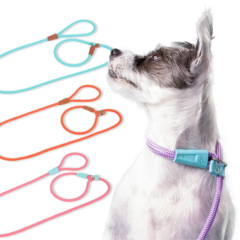 Guia Unificada 1,10m Cachorro Cabo Nautico 8mm Adestramento Várias Cores Toh Cães Enforcador Pet