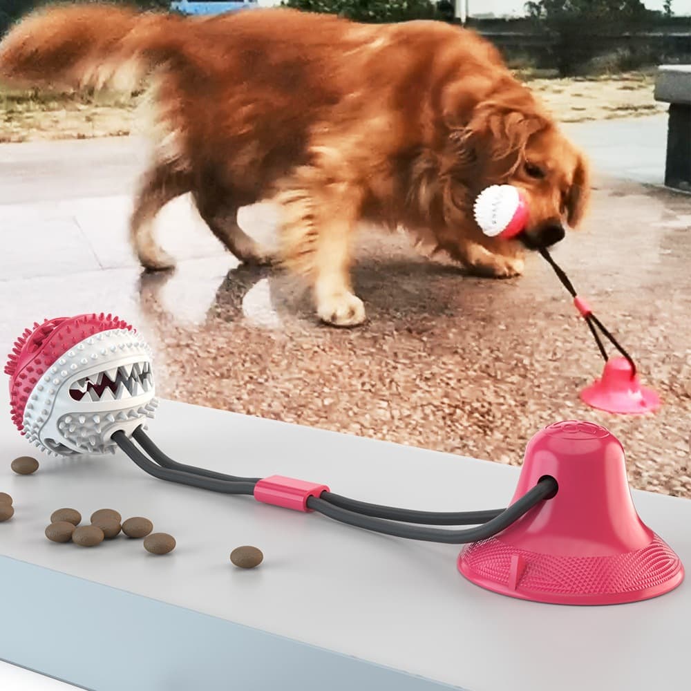 Bola de Brinquedo Interativa Molar Slow Food com Vazamento para Cachorro Golden Retriever e Labrador