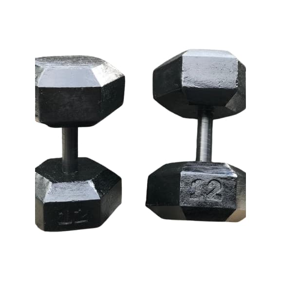 Par Halter 12 kg Sextavado de Concreto "2 UNIDADE" - Pesos de academia - Musculação