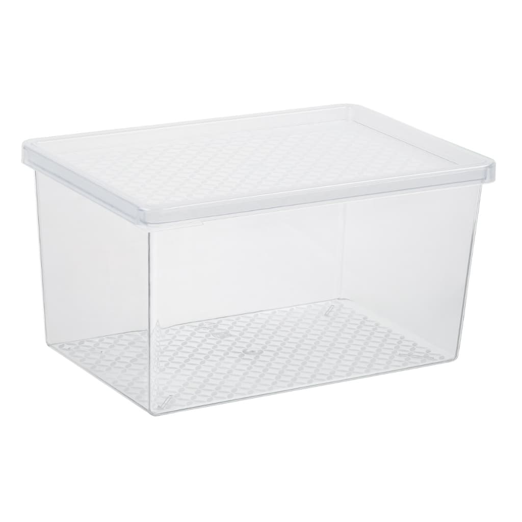 Organizador De Geladeira Translúcido Multiuso G 2,9L Com Tampa Cozinha Armário Bancada UZ426 Cores