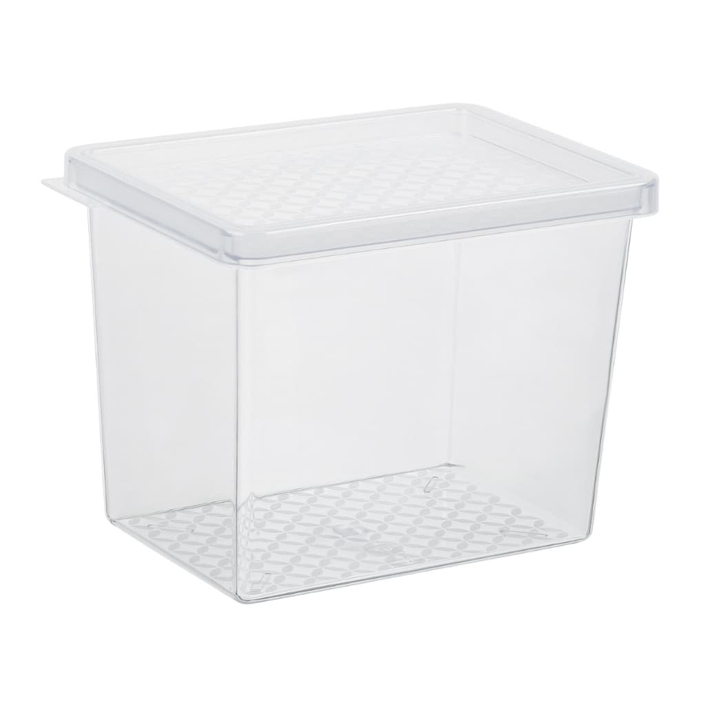 Organizador De Geladeira Translúcido Multiuso M 1,3L Com Tampa Cozinha Armário Bancada UZ425 - Cores