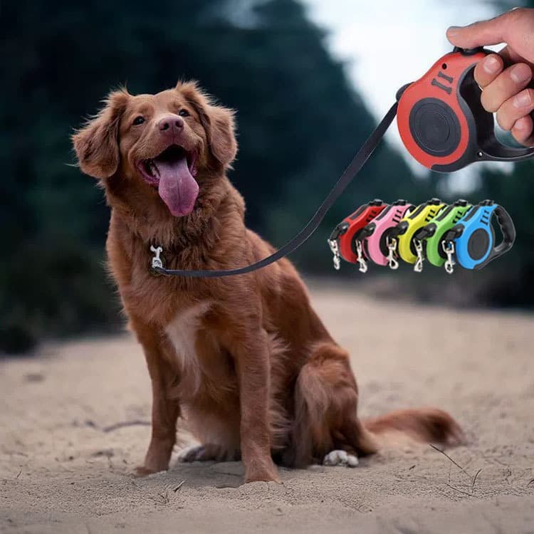 Coleira Para Cachorro Guia Retrátil 5 Metros Pets Cães Gatos Resistente Com Trava