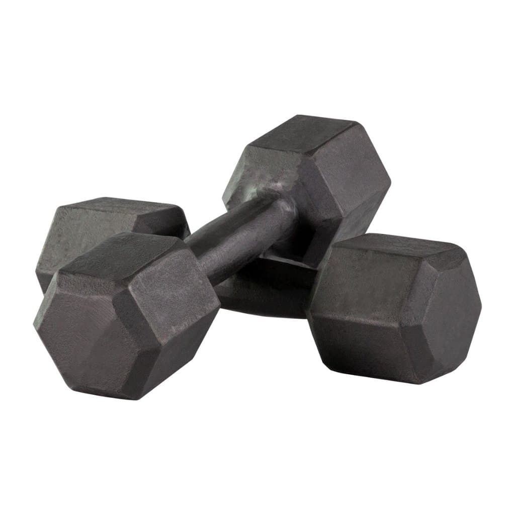kit 2 Halter 10kg Para Musculação Treino Academia Preto Ferro Fundido