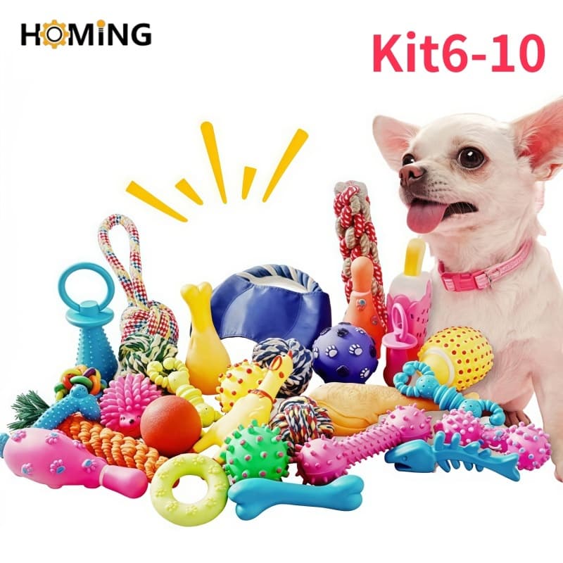 Kit 10/6 Brinquedos Mordedores para Filhote em Vinil e Corda Anti estresse Galinha Bola