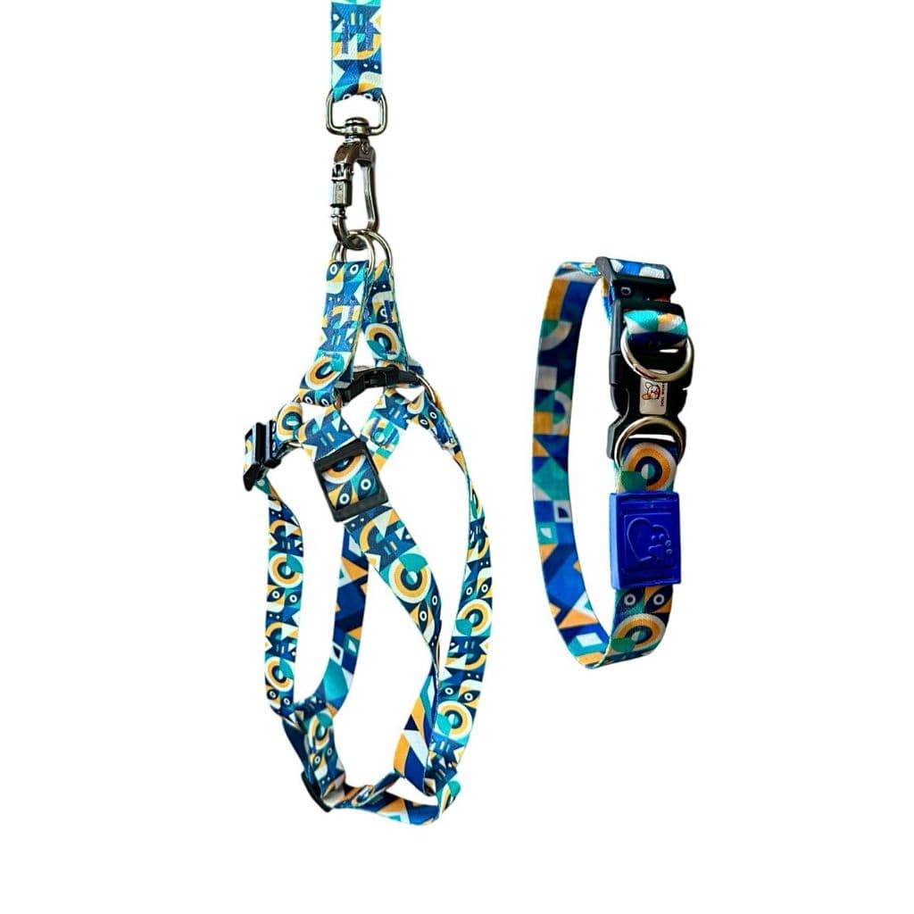 Kit Coleira Completo – Peitoral + Guia + Coleira de Pescoço Com Conforto e Segurança Para Seu Pet Coleira Cachorro