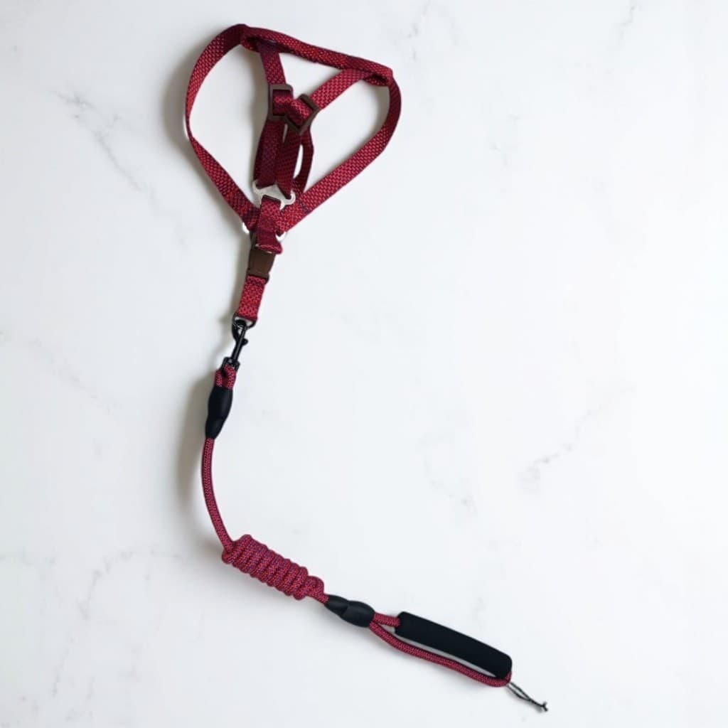 Coleira Peitoral com Guia para Cães Pet Ajustável - R84501