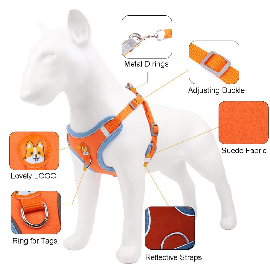Coleira Para Cachorro Gato Peitoral, Conjunto De Guia + Coleira Tipo Colete Para Pet
