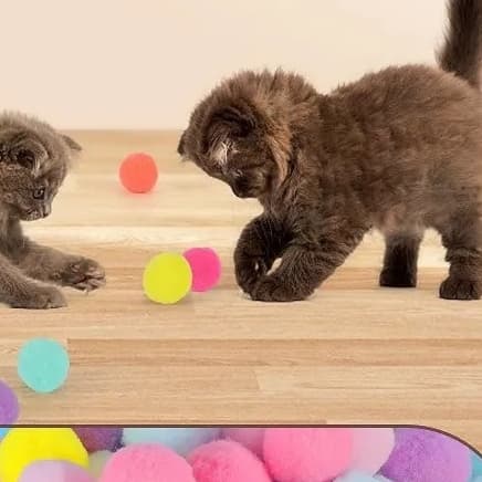 Brinquedos Gato Interativos De Lançamento Para Gatos De Estimação De Tiro Com Pistola De Pelúcia