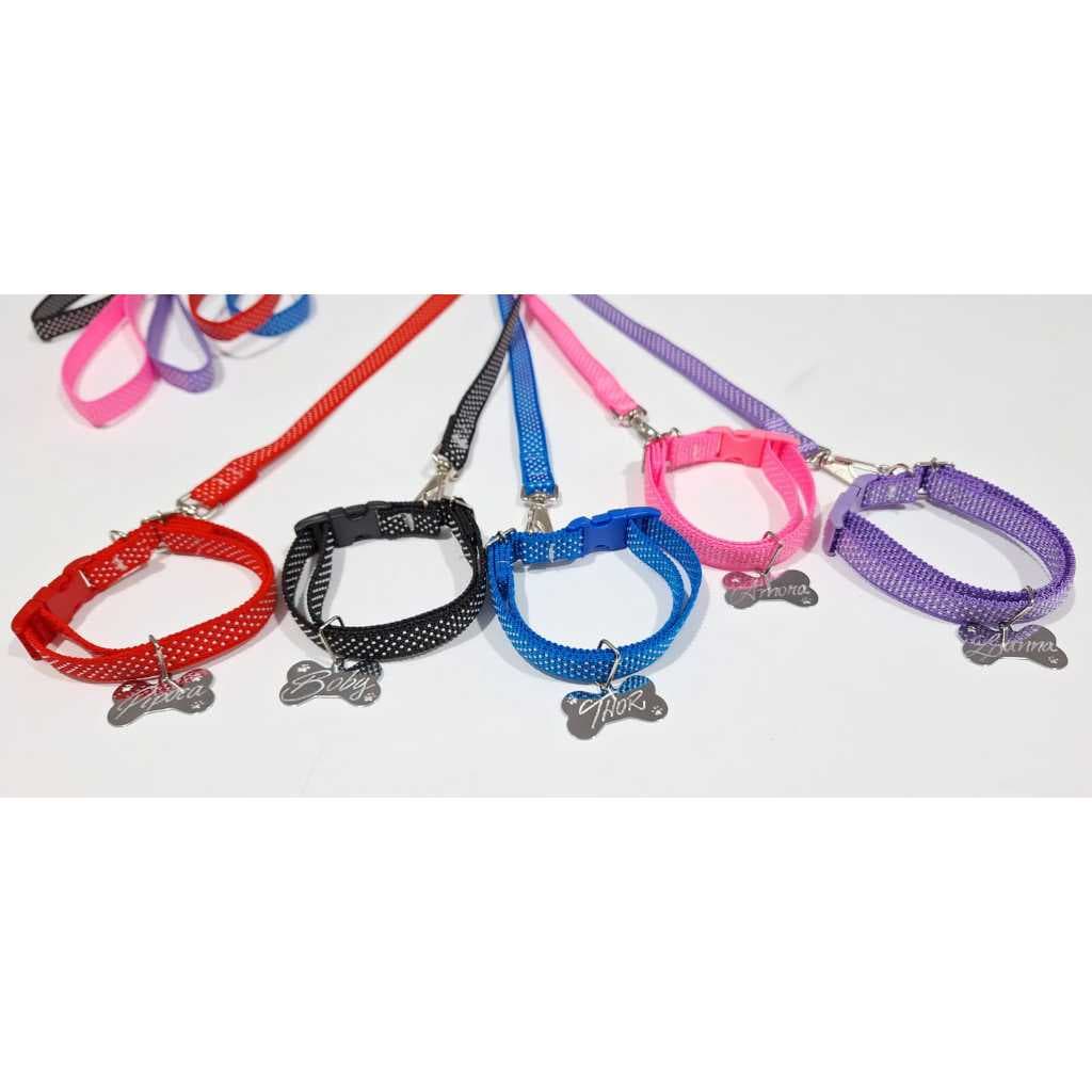 Coleira para Cães e Gatos com Guia + Plaquinha de Identificação GRAVADA