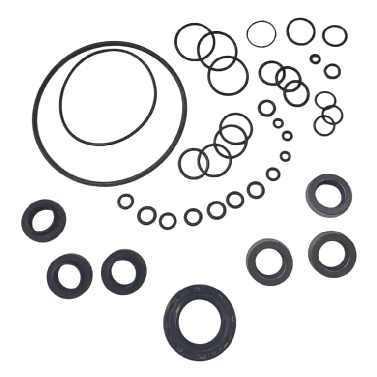 Kit Reparo Completo P/ Lavadora Karcher Hd585 C/ Gaxeta