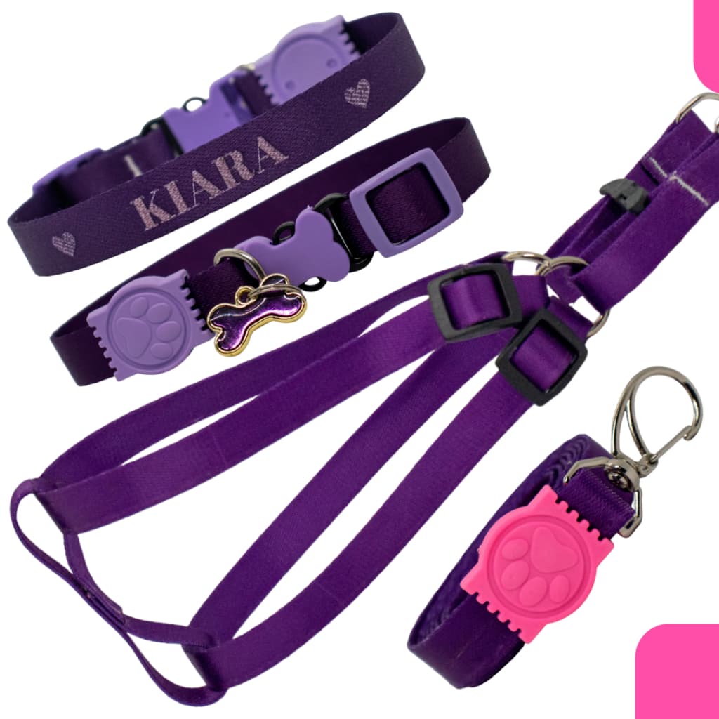 Coleira Peitoral personalizado com nome guia de passeio para cachorro com identificação regulagem e conforto
