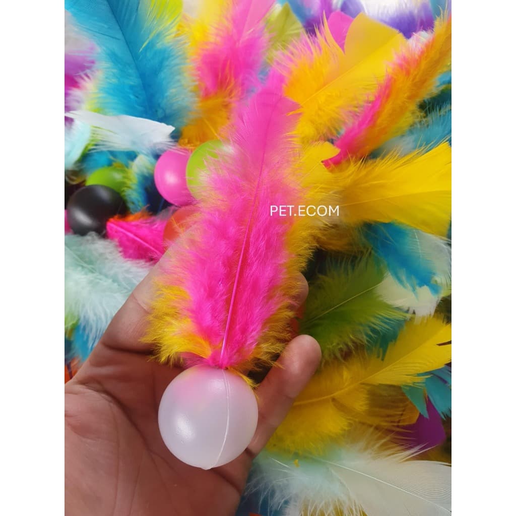 Kit 10 Brinquedo para Gato Bola com Pluminha Pena Peninha  Colorido com Chacoalho