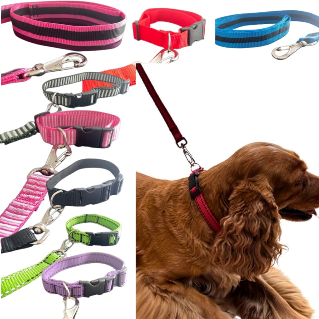 Coleira para Cachorro com Guia para pet, kit coleira + guia pet