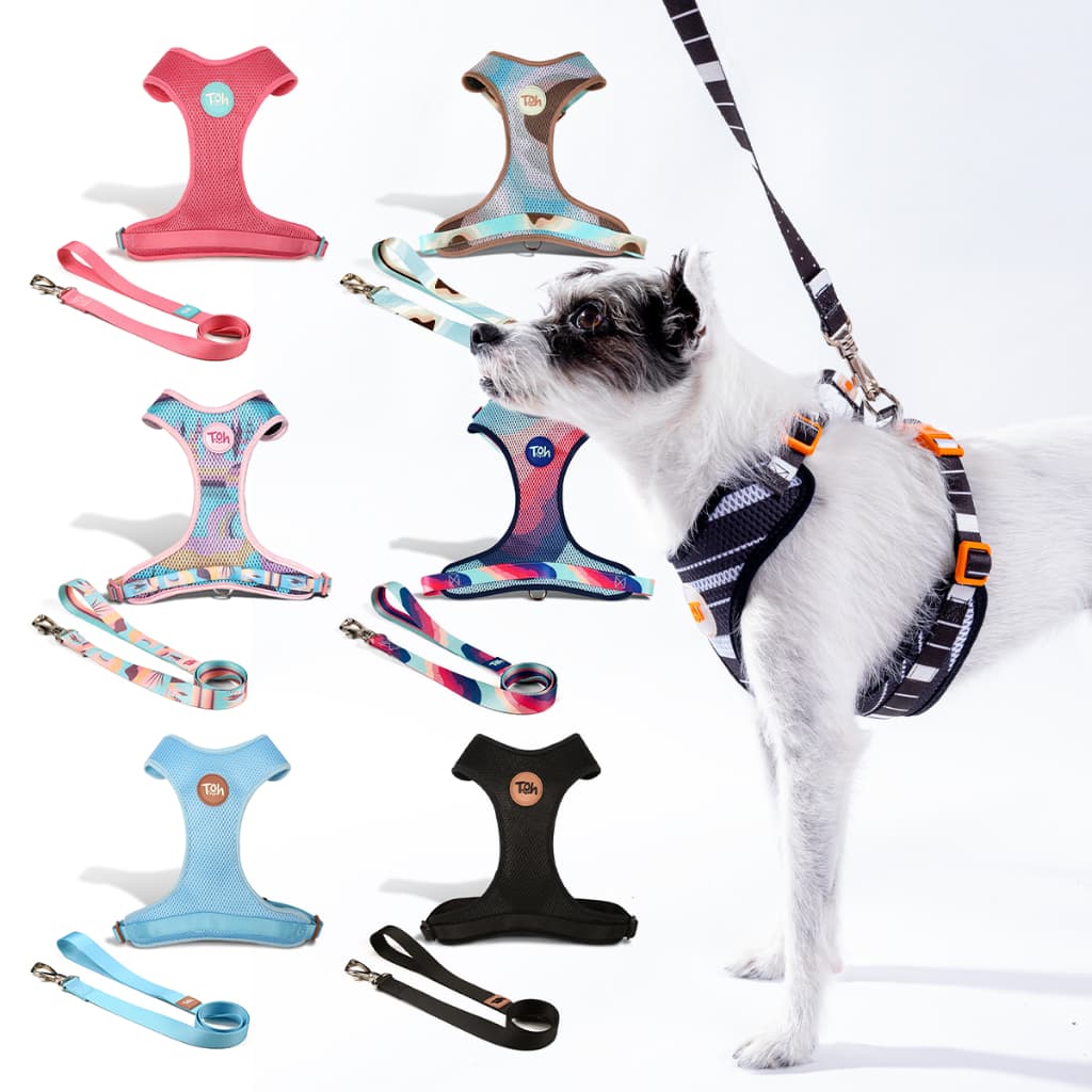 Peitoral e Guia Mesh H Para Cachorro de Todos os Portes e Raças Peitoral Transpirável Marca Toh