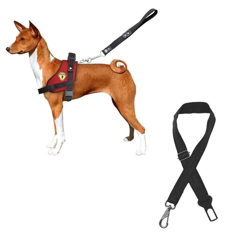 Coleira Guia Peitoral Para Cães Cachorros + Cinto De Segurança Pet Reforçado