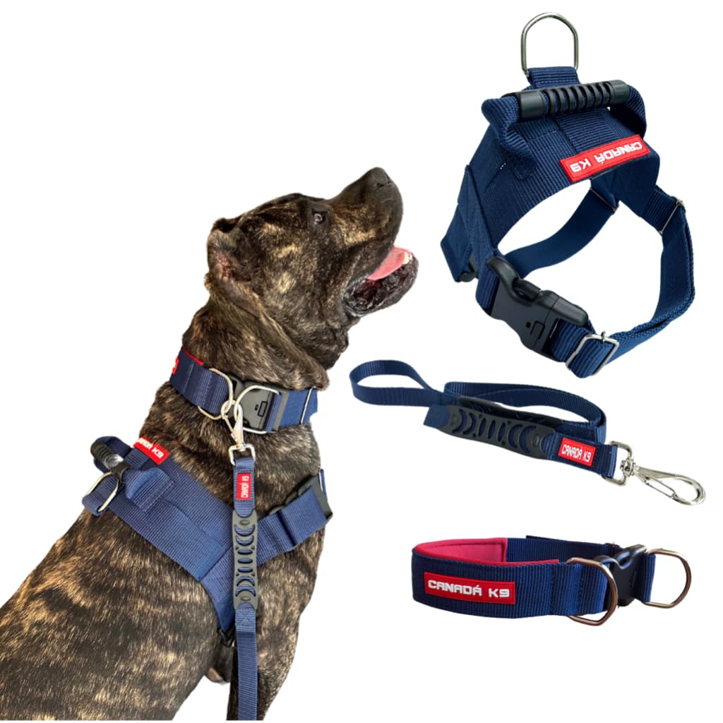 Combo Coleira Peitoral + Guia + Coleira para Cachorro - Tamanho Extra Grande