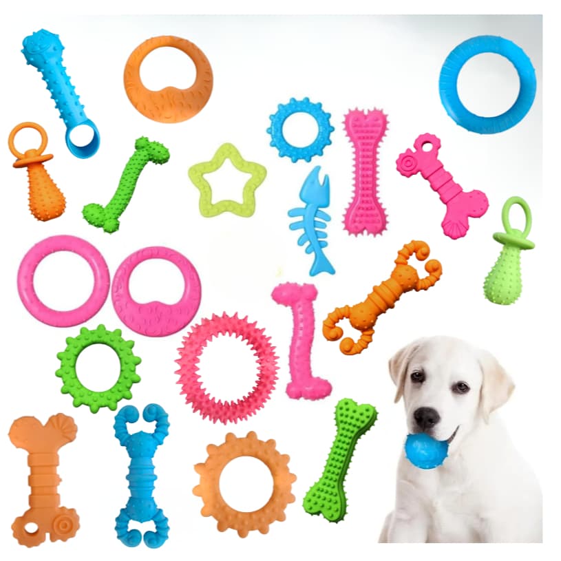 Kit 5 Mordedores Pet Raças Pequenas Cachorros Caes