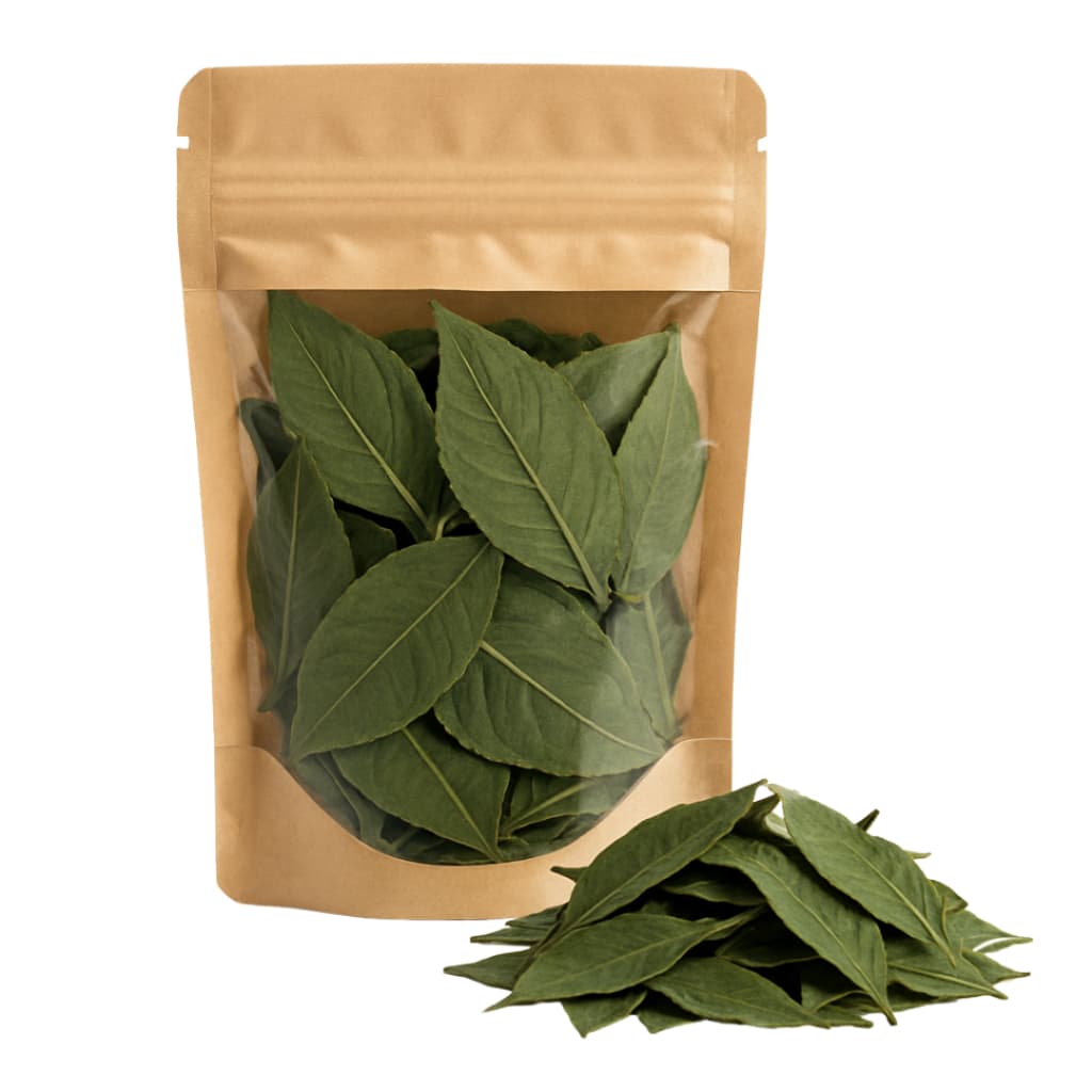 Chá de Folhas de FÍGATIL/ Vernonia condensata/ também chamado de Alumã ou Boldo,/orgânico,
