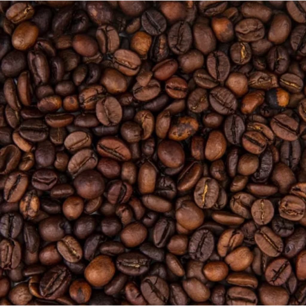 Café em Grãos Especial Torra Média Alta Qualidade
