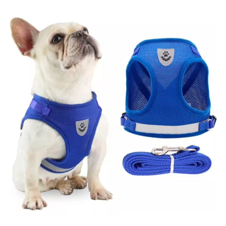 Peitoral Coleira Colete Com Guia p/ Caes Gatos Regulavel Confortavel Ajustavel Cachorro Pet Pequeno