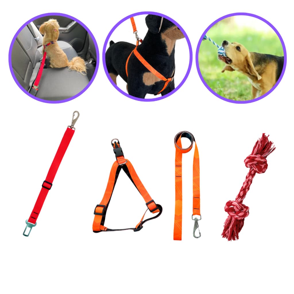 Kit coleira peitoral guia cinto de segurança pet brinquedo mordedor higiêne bucal regulagem laranja
