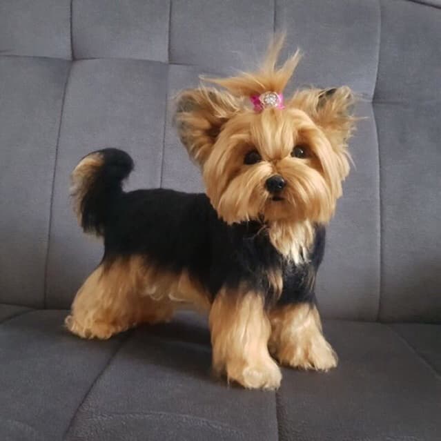 CACHORRO,cachorro de pelúcia,cachorro realista,cachorro para homenagear