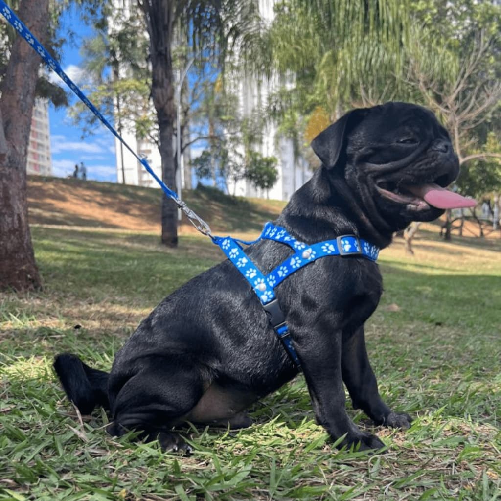 Coleira Guia Peitoral Para Cachorro Gato Passeio metros 1m Pets Cães Pequeno Porte