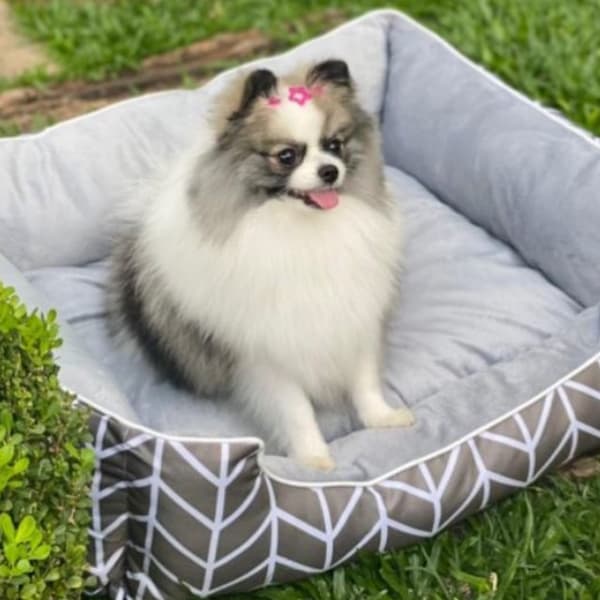 Casinha Pet Corttex - Toca Macia para Cachorros e Gatos