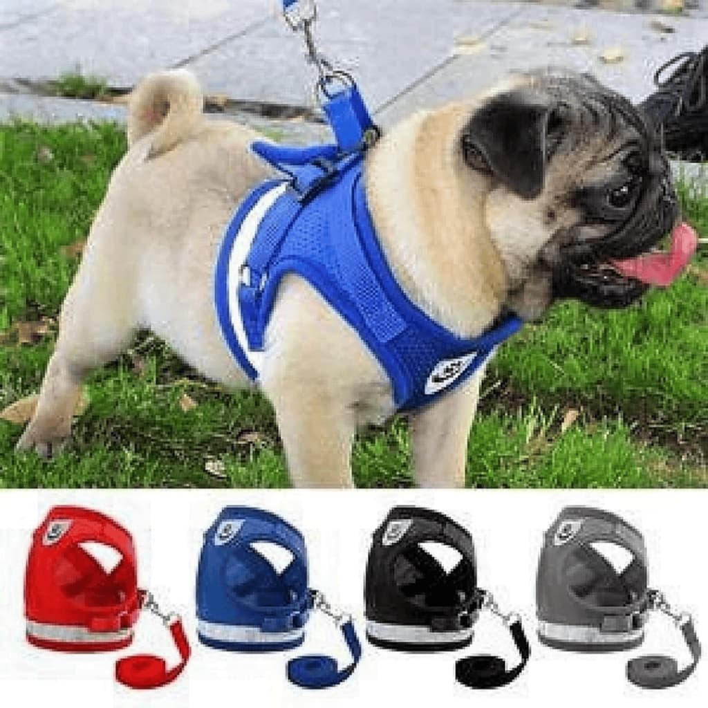 Peitoral + Guia Caes Cachorro Gato Coleira Colete Regulavel Super Confortavel Pet Passeio