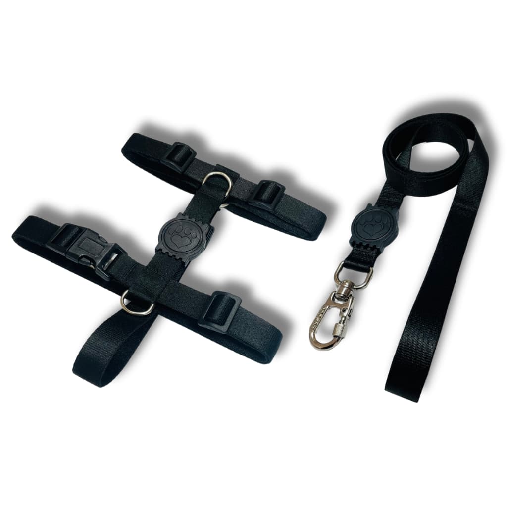 Coleira Peitoral H Anti Puxão e Guia 1,10m para Cachorro Black