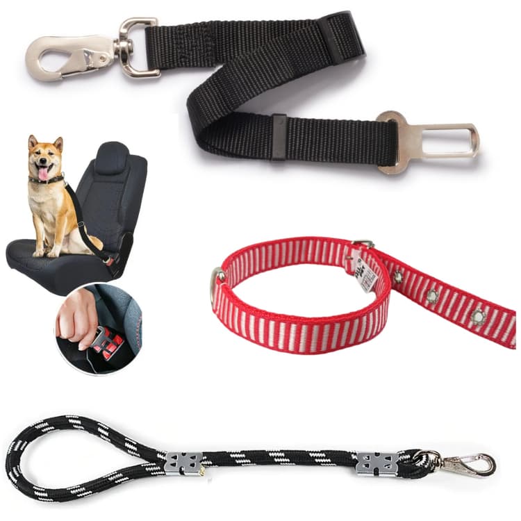 Kit Pet 3 em 1 Coleira + Guia de Corda + Cinto de Segurança para Cães e Gatos