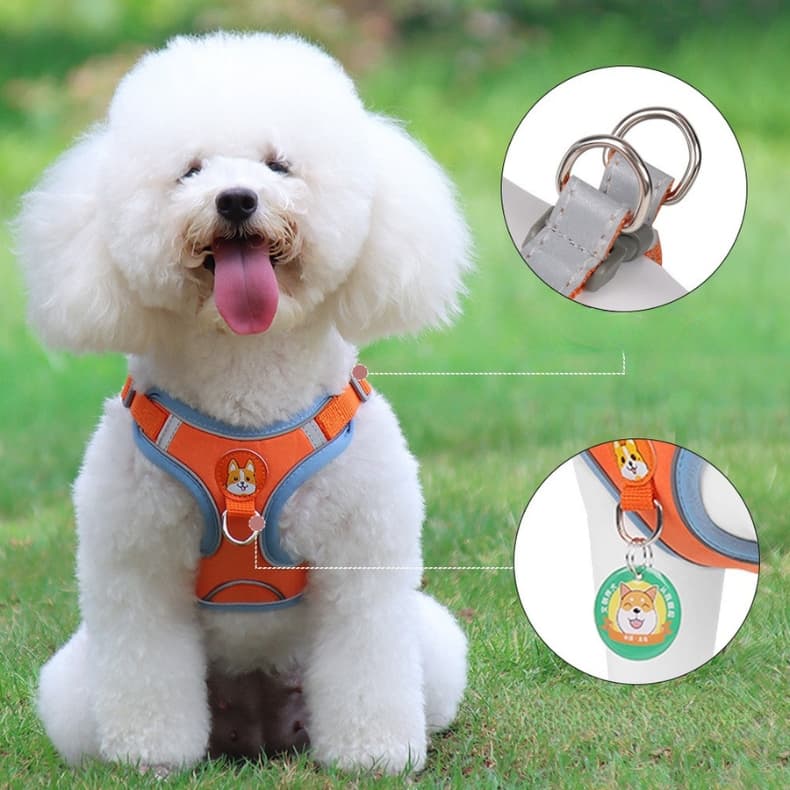 Coleira Peitoral Para Cachorro Gato Com Conjunto De Guia + Coleira Tipo Colete Para Pet Pequenos E Médios