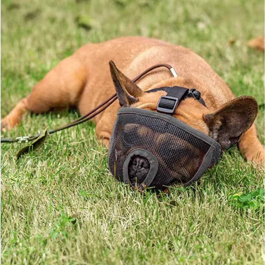 Focinheira p/ Cães de Focinho Curto Leve, Respirável e Reforçada Anti-Mordida Máscara Pet LR-0284