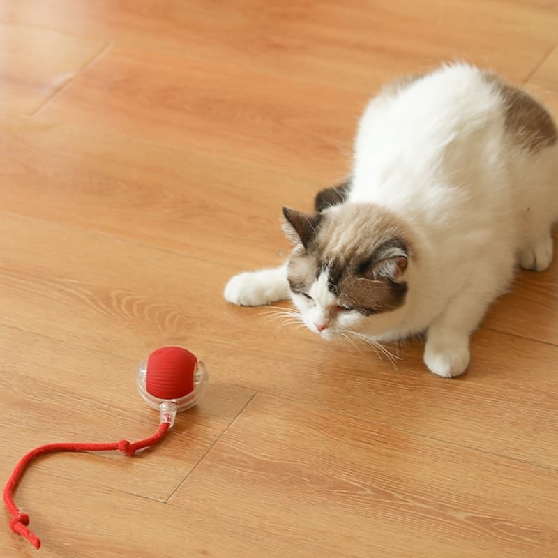 Bola Interativa Automática Para Gatos Caes Cachorros Brinquedo De Treinamento Elétrico Rolo Inteligente Cauda Falsa