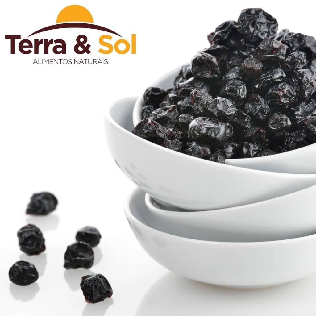 BLUEBERRY DESIDRATADO Premium USA | rico em antioxidantes | natural e saudável