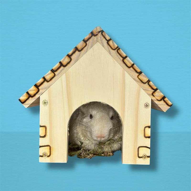 Toca/casa Inverno Chinchila, Twister, Hamster - Roedores