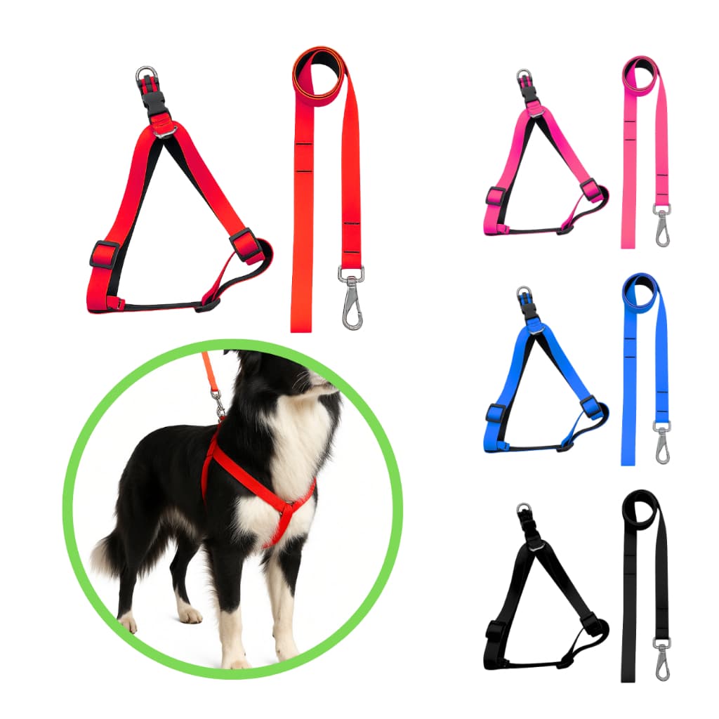 Coleira peitoral com guia para cães com regulagem de tamanho cachorro pet educar passear adestrar