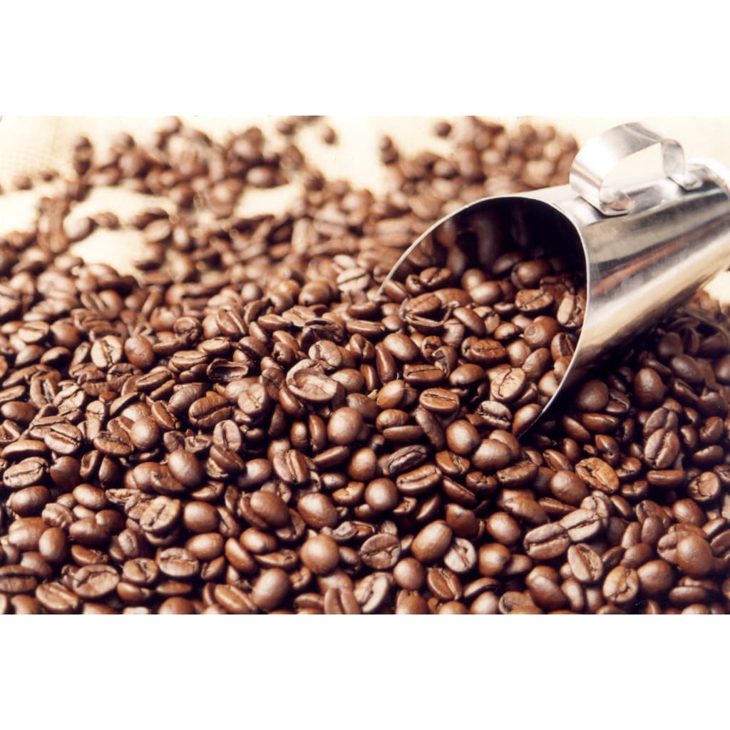 Café em Grãos 100% Arábico torra média