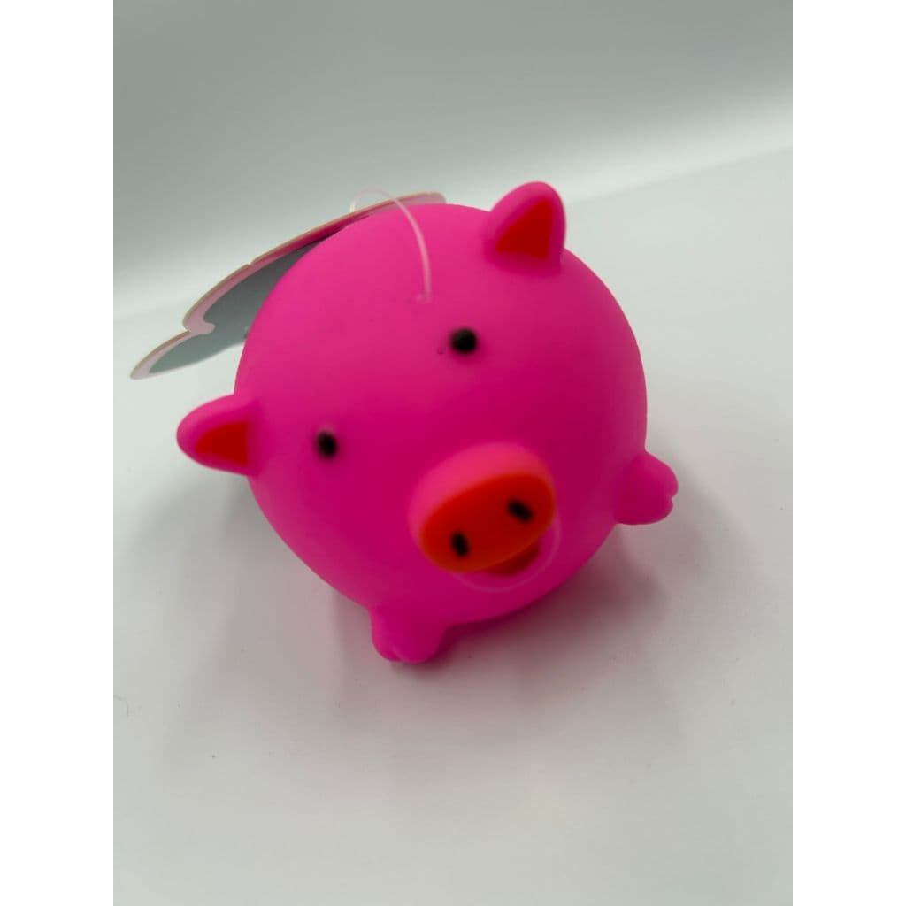Brinquedo Para Pet Cão | Mordedor de Silicone | Porquinho