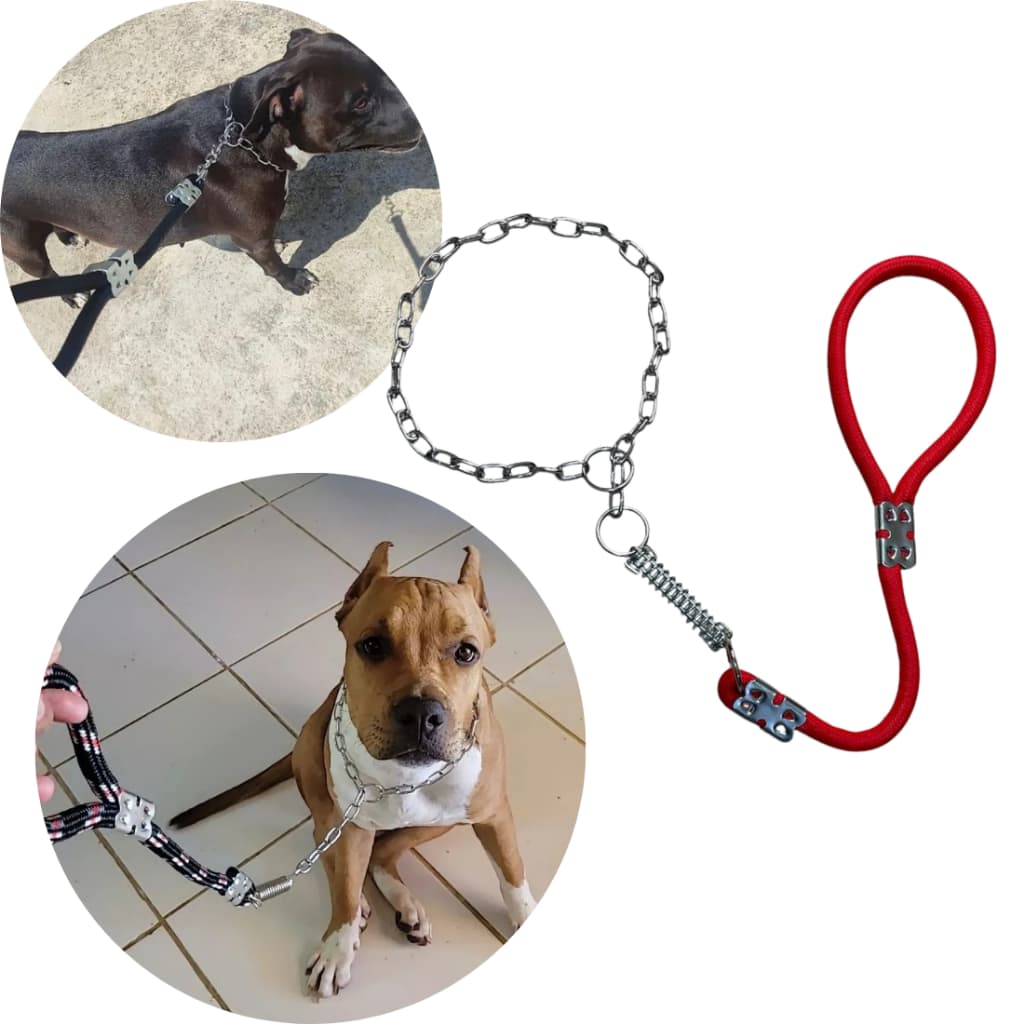 Guia enforcador corrente com mola resistente cachorro medio e grande porte para passeio
