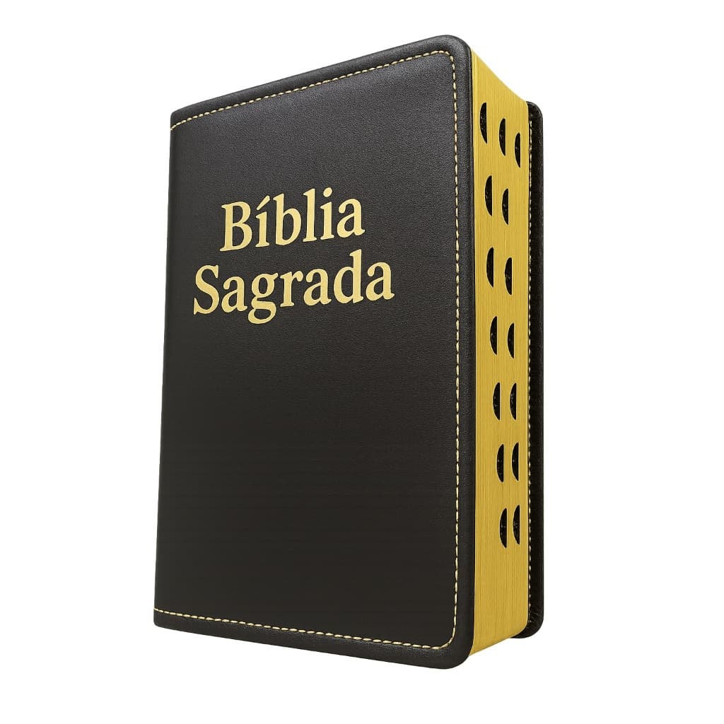 Bíblia Sagrada Letra Grande Gigante Com Harpa Cristã