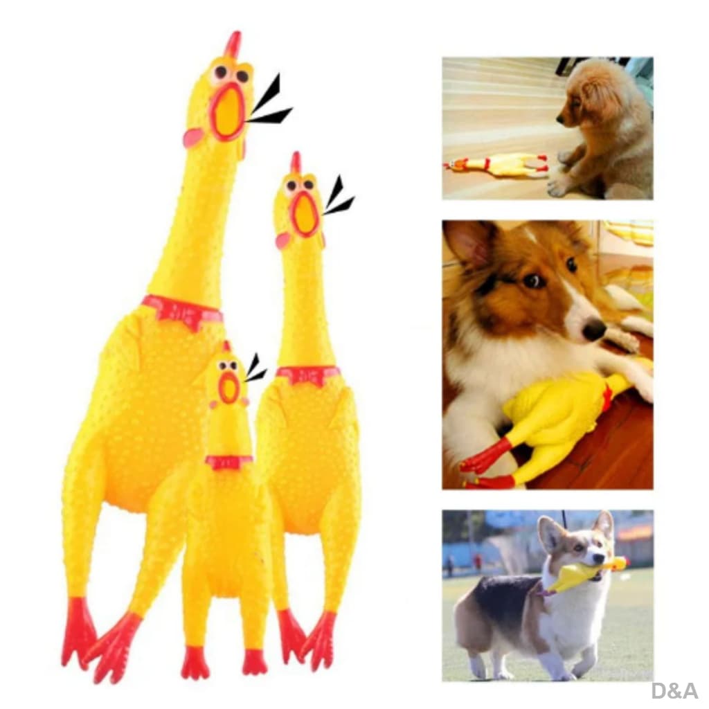 Kit com 02 Galinha Frango Borracha Mordedor Cachorro Pet Faz Barulho / Brinquedos Cachorro